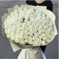 Bouquet of 101 white roses