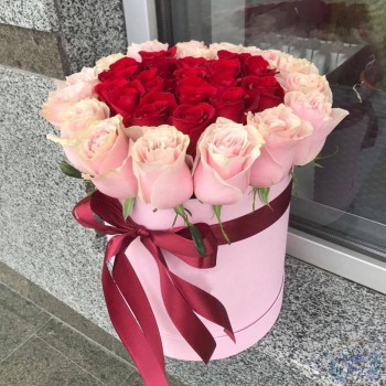 25 red and pink roses in a box