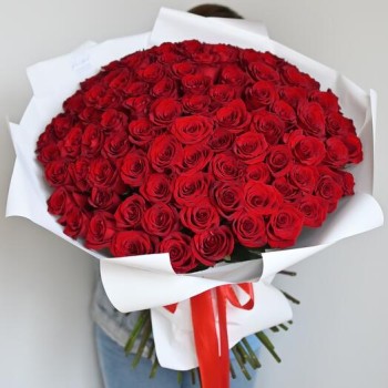 101 red roses