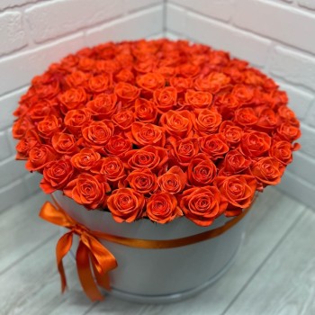 101 Orange Rose in a Box