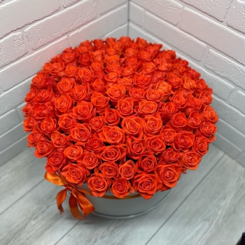 101 Orange Rose in a Box