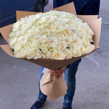 Author's bouquet of 101 white roses