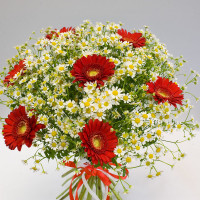 Bouquet of gerberas and daisies