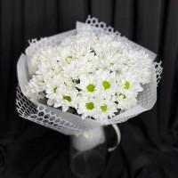 Chrysanthemum chamomile bouquet