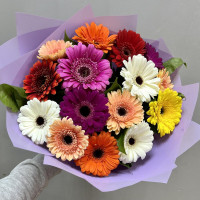 Bouquet of Gerberas