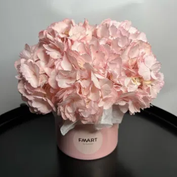 Қораптағы гортензия