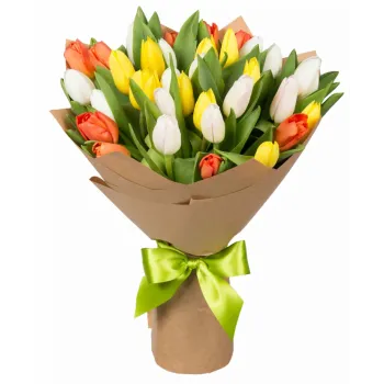 Bouquet of 31 tulips